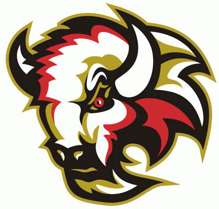 Basingstoke Bison 2003-2009 Primary Logo iron on transfers for T-shirts